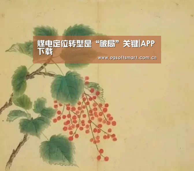 煤电定位转型是“破局”关键|APP下载(图3) APP下载