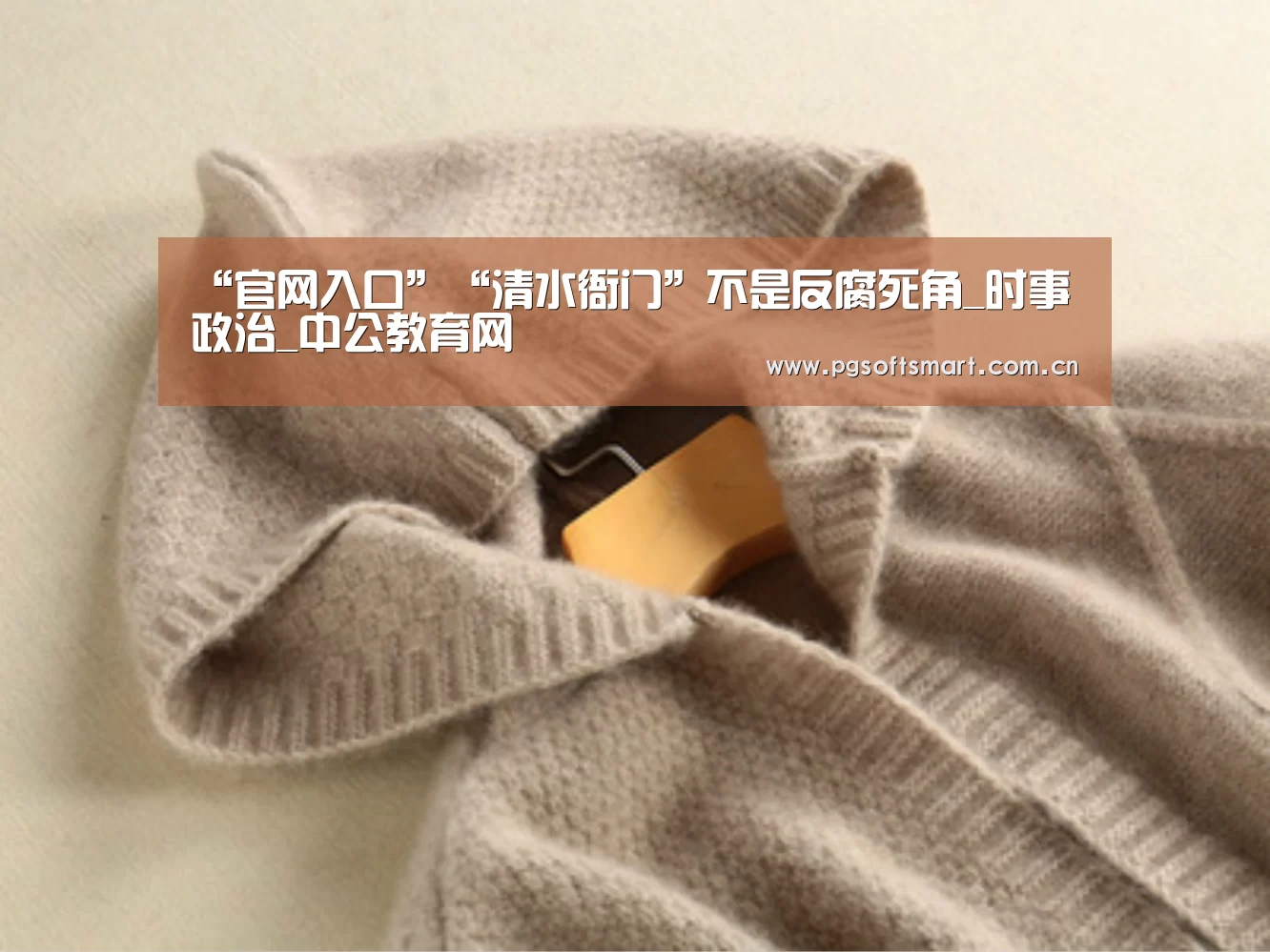 “官网入口”“清水衙门”不是反腐死角_时事政治_中公教育网(图4) APP下载