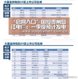 ‘官网入口’国投贵州盘江电厂:一季度预计发电量达9个亿!(图2) 模拟器游戏