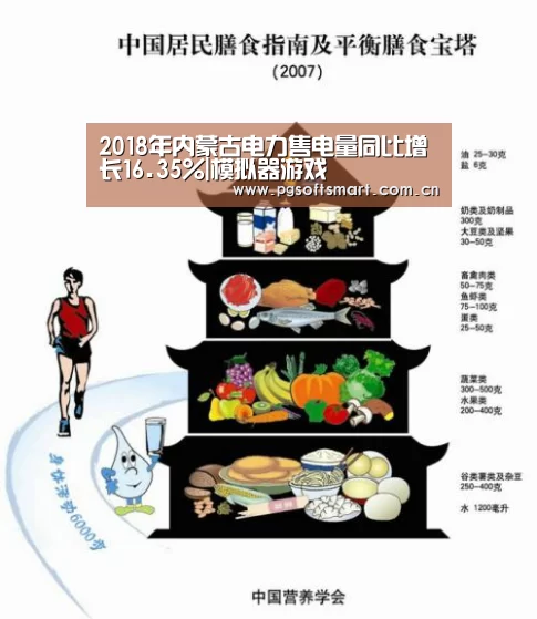 2018年内蒙古电力售电量同比增长16.35%|模拟器游戏(图1) APP下载