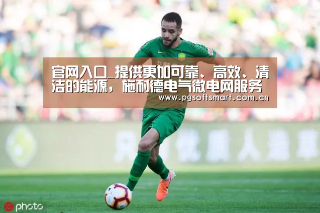 官网入口_提供更加可靠、高效、清洁的能源,施耐德电气微电网服务项目荣获PEER白金认证(图2) APP下载