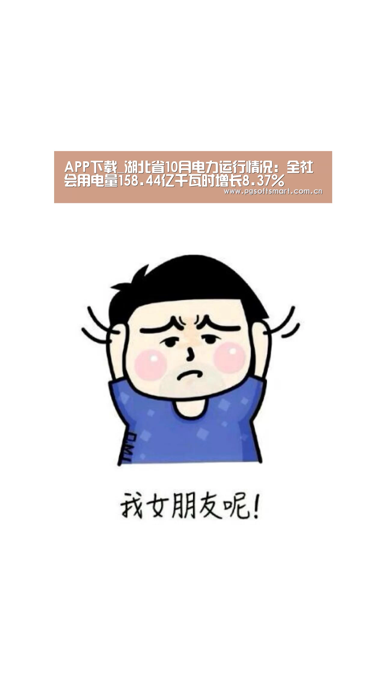 APP下载_湖北省10月电力运行情况:全社会用电量158.44亿千瓦时增长8.37%(图4) 模拟器游戏