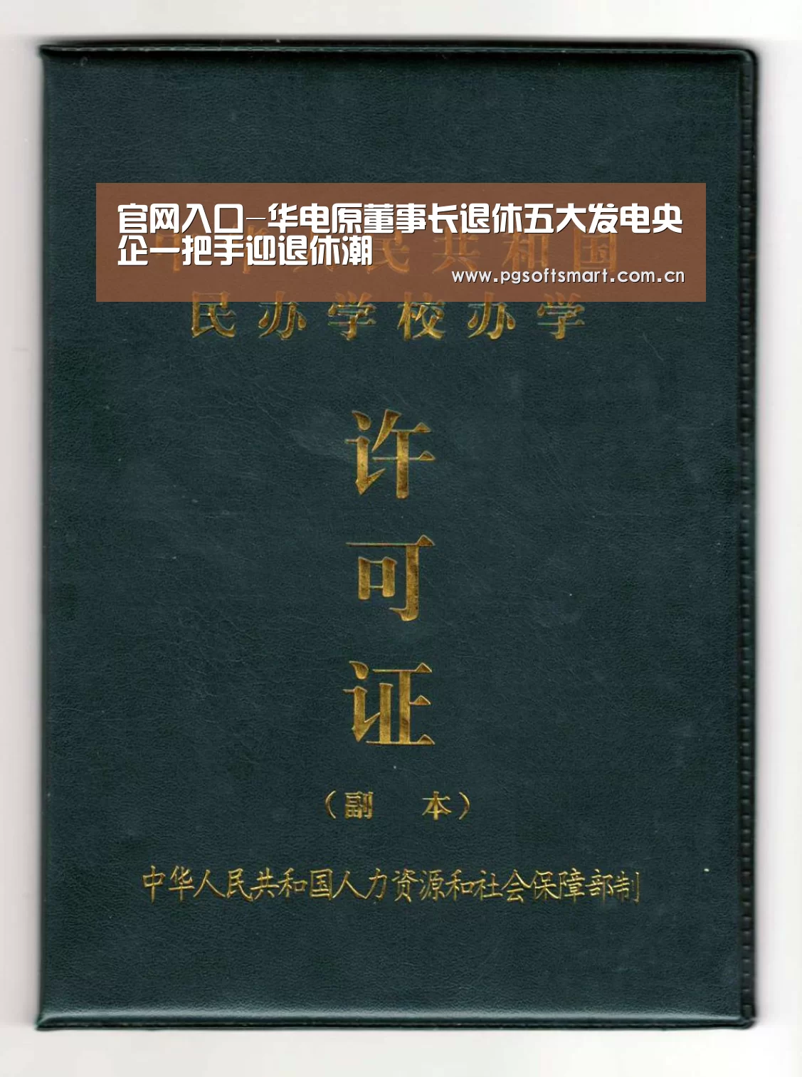 官网入口-华电原董事长退休五大发电央企一把手迎退休潮(图2) APP下载